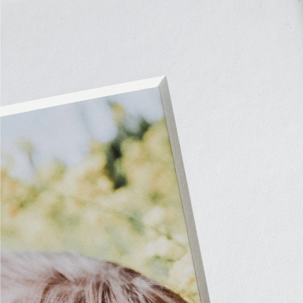 8PLY_MAT_DETAIL_3f2a49f1-b2f6-44b9-be58-23b2f9216133.png NW Framing Framed Print: 12x12