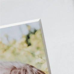 NW Framing Framed Print: 10x10 Framed Prints