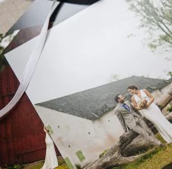 Album Shop Album Sales Tools Test Prints For Albums & Folios