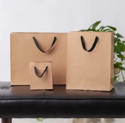 Paper Shop Gift Bags