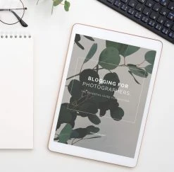 DesignAglow The Essential Guide To Blogging For Photographers Success Guides