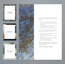 DesignAglow The Essential Guide To Blogging For Photographers Success Guides