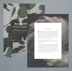 DesignAglow The Essential Guide To Blogging For Photographers Success Guides