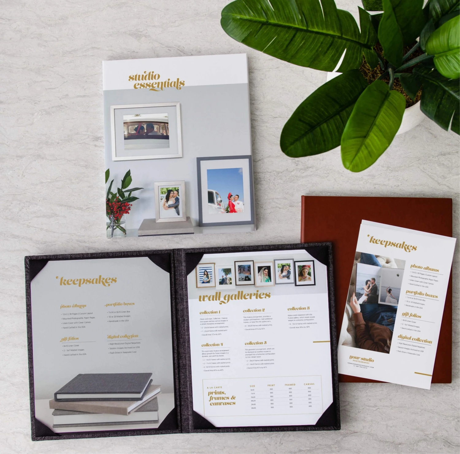 VIDA_ST_PR.jpg DesignAglow Bold & Fun VIDA Price Menu Suite