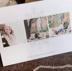 DesignAglow Holiday Cards: Let It Snow 23 DesignAglow Holiday Cards: Let It Snow