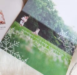 DesignAglow Holiday Cards: Let It Snow 26 DesignAglow Holiday Cards: Let It Snow