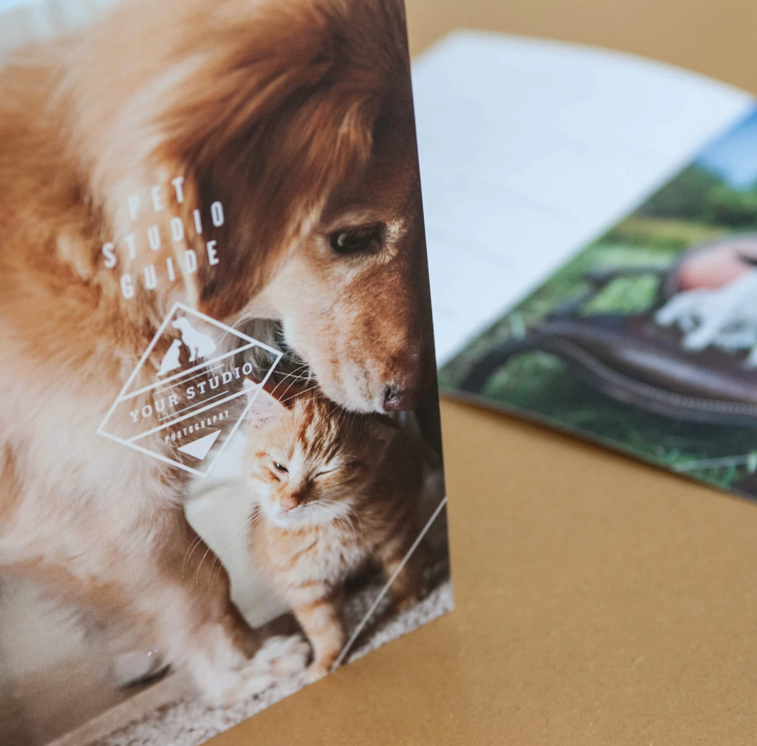 DesignAglow Pet Marketing Suite Marketing Suites 4 DesignAglow Pet Marketing Suite Marketing Suites