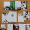 DesignAglow Pet Marketing Suite Marketing Suites 1 DesignAglow Pet Marketing Suite Marketing Suites