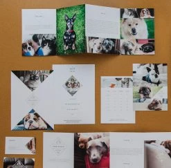 DesignAglow Pet Marketing Suite Marketing Suites