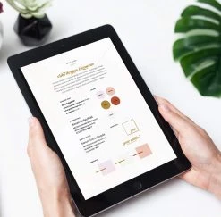 DesignAglow VIDA Style Guide Bold & Fun